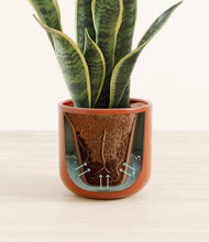 Load image into Gallery viewer, Glossy Red stand:all
