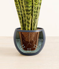 Load image into Gallery viewer, Deep Navy stand:all
