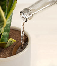 Load image into Gallery viewer, Snowdrift White stand:all
