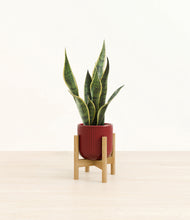 Load image into Gallery viewer, Striped Cherry Red stand:bamboo
