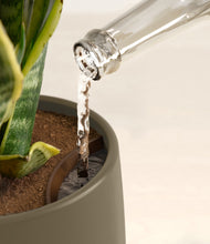 Load image into Gallery viewer, Olive stand:all
