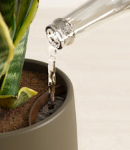 Load image into Gallery viewer, Olive stand:all
