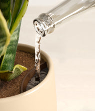 Load image into Gallery viewer, Almond Green stand:all
