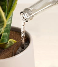 Load image into Gallery viewer, Eternal Gray stand:all
