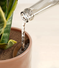 Load image into Gallery viewer, Hammered Peach Pink stand:all
