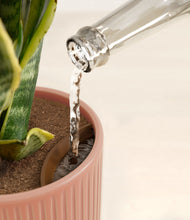 Load image into Gallery viewer, Striped Rose Pink stand:all
