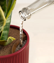 Load image into Gallery viewer, Striped Cherry Red stand:all
