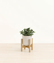 Load image into Gallery viewer, Snowdrift White stand:bamboo
