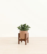 Load image into Gallery viewer, Hammered Peach Pink stand:walnut
