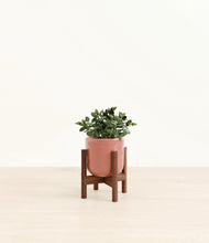 Load image into Gallery viewer, Hammered Rose Pink stand:walnut
