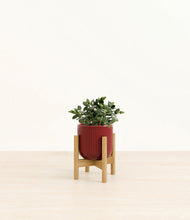 Load image into Gallery viewer, Striped Cherry Red stand:bamboo
