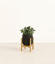 Load image into Gallery viewer, Black stand:bamboo
