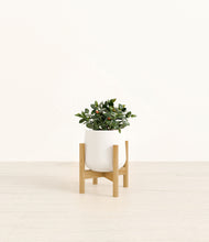 Load image into Gallery viewer, White stand:bamboo
