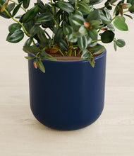 Load image into Gallery viewer, Twilight Blue stand:all
