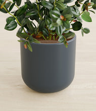 Load image into Gallery viewer, Iron Gray stand:all
