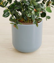 Load image into Gallery viewer, Misty Blue stand:all
