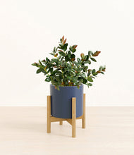 Load image into Gallery viewer, Deep Navy stand:bamboo
