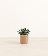 Load image into Gallery viewer, Hammered Peach Pink*****Profile
