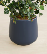 Load image into Gallery viewer, Deep Navy stand:all
