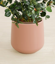 Load image into Gallery viewer, Calm Rose stand:all
