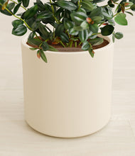 Load image into Gallery viewer, Cream stand:all
