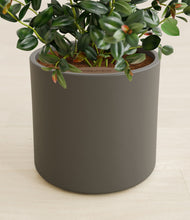 Load image into Gallery viewer, Dark Olive stand:all
