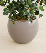 Load image into Gallery viewer, Winter Clouds stand:all
