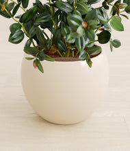 Load image into Gallery viewer, Shiny EggWhite stand:all
