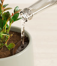 Load image into Gallery viewer, Turquoise stand:all
