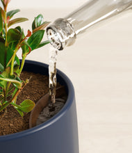 Load image into Gallery viewer, Deep Navy stand:all
