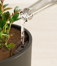 Load image into Gallery viewer, Dark Olive stand:all
