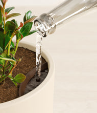 Load image into Gallery viewer, Cream stand:all
