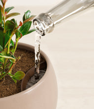 Load image into Gallery viewer, Desert Brown stand:all
