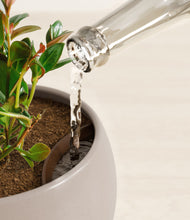 Load image into Gallery viewer, Winter Clouds stand:all
