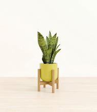 Load image into Gallery viewer, Key Lime Yellow stand:bamboo
