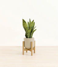 Load image into Gallery viewer, Sage Green stand:bamboo
