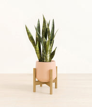 Load image into Gallery viewer, Gentle Pink stand:bamboo
