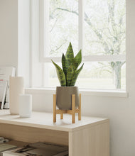 Load image into Gallery viewer, Olive stand:bamboo
