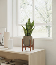 Load image into Gallery viewer, Olive stand:walnut
