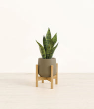Load image into Gallery viewer, Olive stand:bamboo
