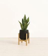 Load image into Gallery viewer, Black stand:bamboo
