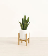 Load image into Gallery viewer, White stand:bamboo
