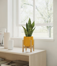 Load image into Gallery viewer, Mustard stand:bamboo
