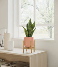 Load image into Gallery viewer, Calm Rose stand:bamboo

