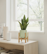 Load image into Gallery viewer, Turquoise stand:bamboo
