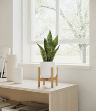 Load image into Gallery viewer, White stand:bamboo
