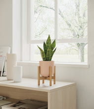 Load image into Gallery viewer, Sandy Pink stand:bamboo
