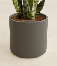 Load image into Gallery viewer, Dark Olive stand:all
