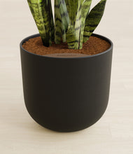 Load image into Gallery viewer, Stone Black stand:all
