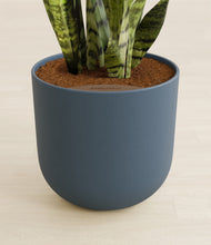 Load image into Gallery viewer, Iron Gray stand:all
